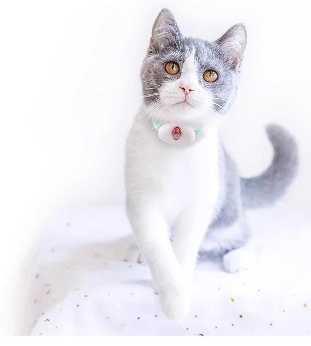 Smart Laser Tease Cat Collar Electric USB Rechargeable Pointer Kitten Automatic Toys Interactive Training Pet Accessories Goods