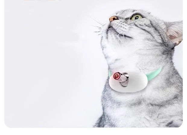 Smart Laser Tease Cat Collar Electric USB Rechargeable Pointer Kitten Automatic Toys Interactive Training Pet Accessories Goods