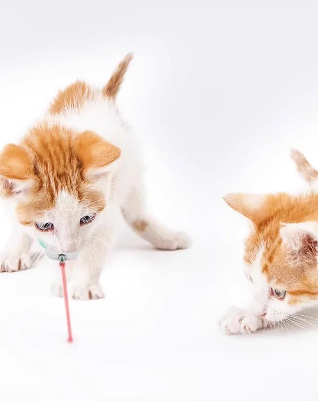 Smart Laser Tease Cat Collar Electric USB Rechargeable Pointer Kitten Automatic Toys Interactive Training Pet Accessories Goods