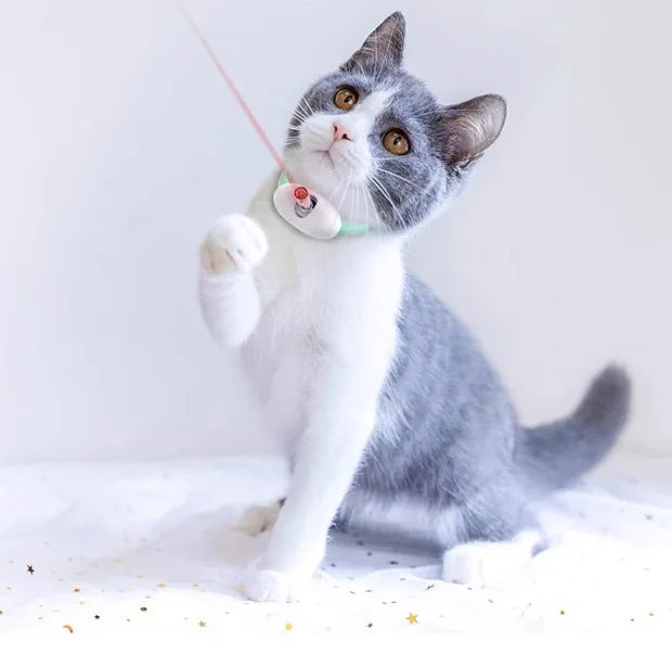 Smart Laser Tease Cat Collar Electric USB Rechargeable Pointer Kitten Automatic Toys Interactive Training Pet Accessories Goods
