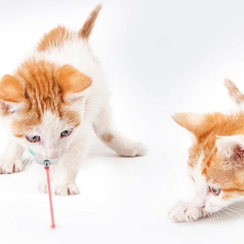 Smart Laser Tease Cat Collar Electric USB Rechargeable Pointer Kitten Automatic Toys Interactive Training Pet Accessories Goods