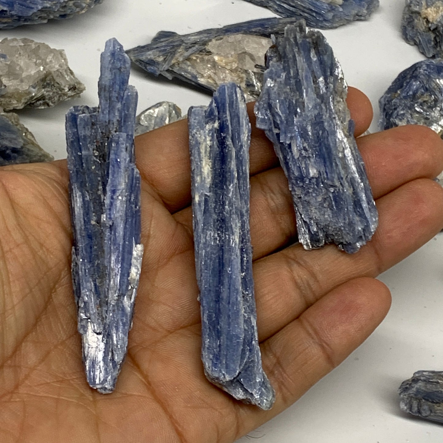 2.2 lbs, 1.8"-3" 25pcs, Rough Raw Blue Kyanite Crystal Minerals Specimens,B28794