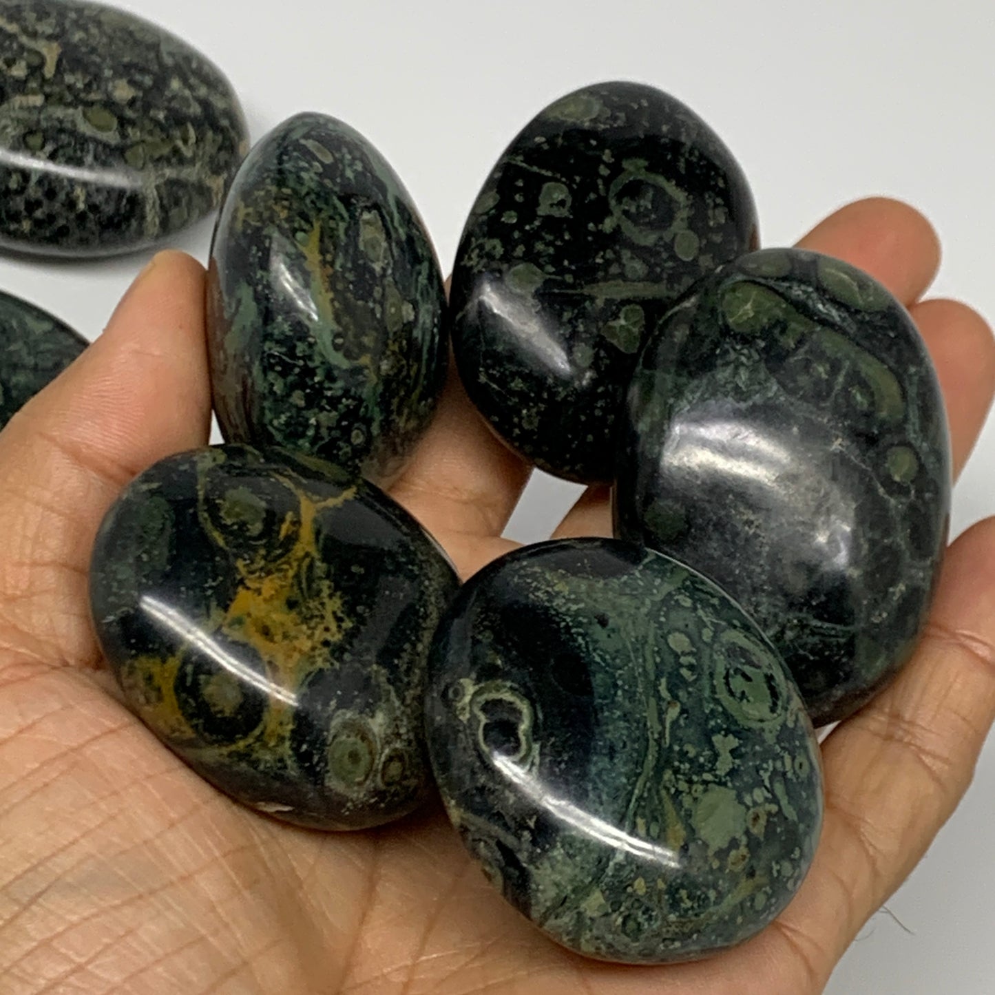 2.2 lbs (1000 Grams), 1.4"-2.4", 19pcs, Small Kambaba Jasper Palm-Stone, B28033