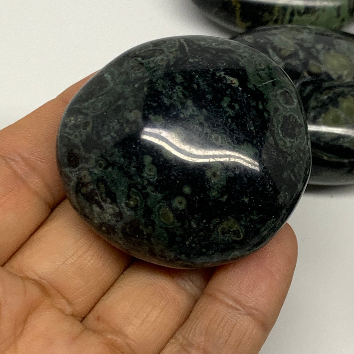 2.2 lbs (1000 Grams), 1.8"-2.3", 13pcs, Kambaba Jasper Palm-Stone Polished,B2809