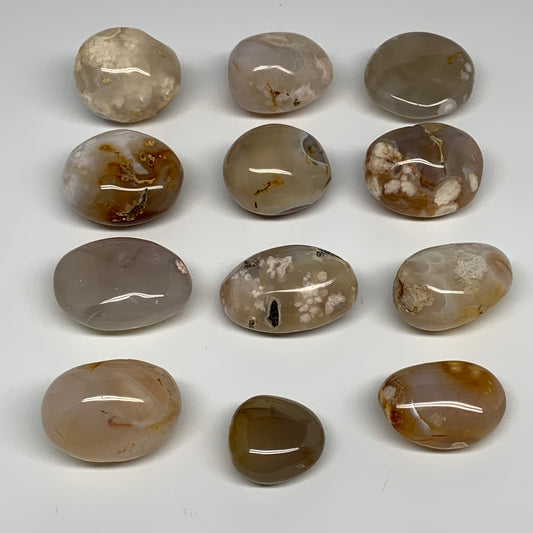 2.2 lbs (1000 Grams), 1.4"-2.2", 12pcs, Flower Agate Crystals Palm-Stone, B28095