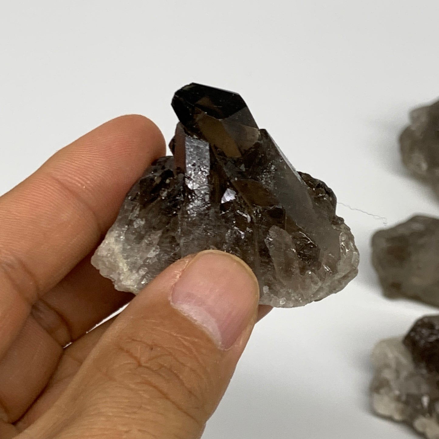 2.2 lbs,1.5"-2.8", 25pcs,Rough Smoky Quartz Crystal Minerals Specimens,B28801