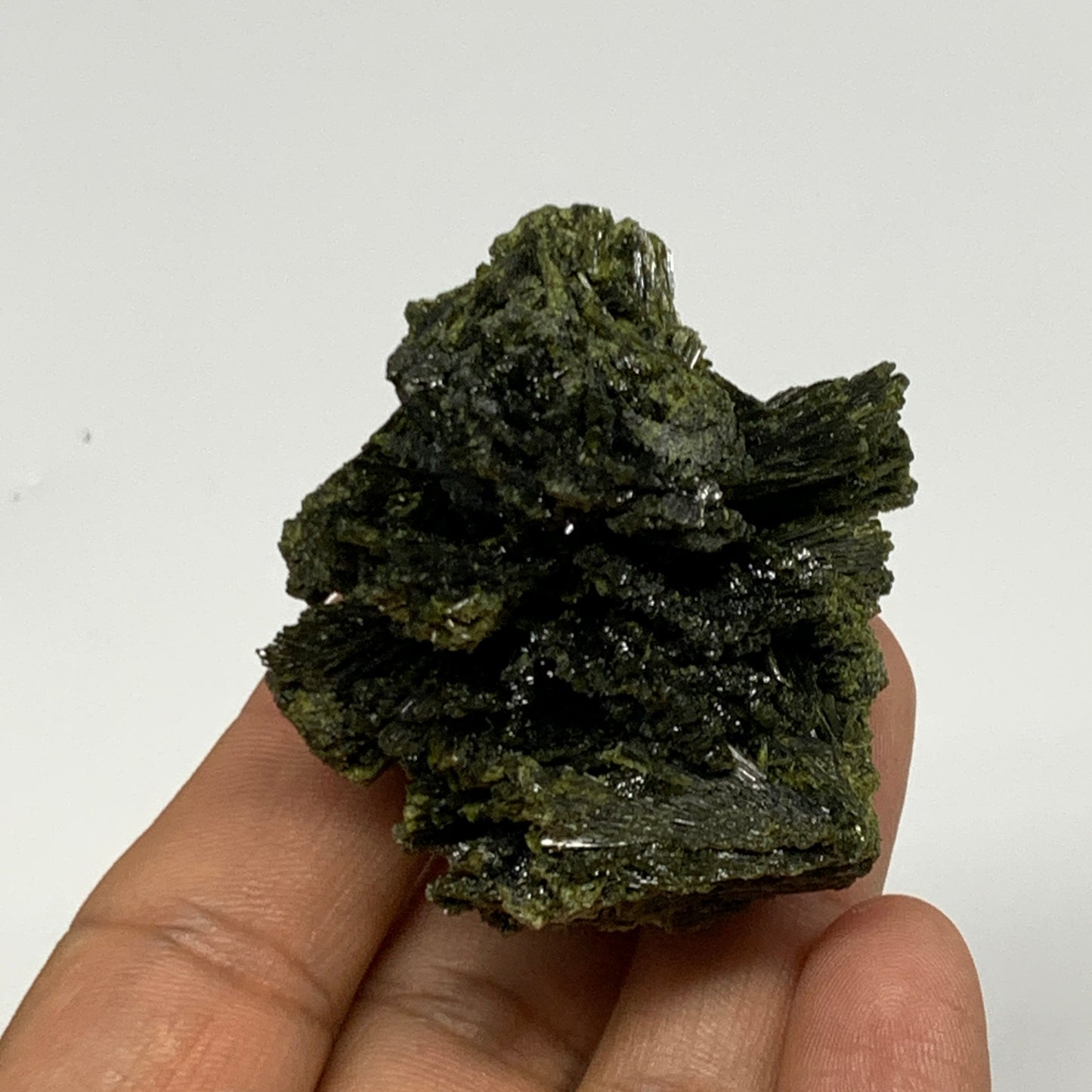 1.48 lbs, 1.5"-2.5", 15pcs, Green Epidote Leaf/Cluster Minerals Specimens, B2748