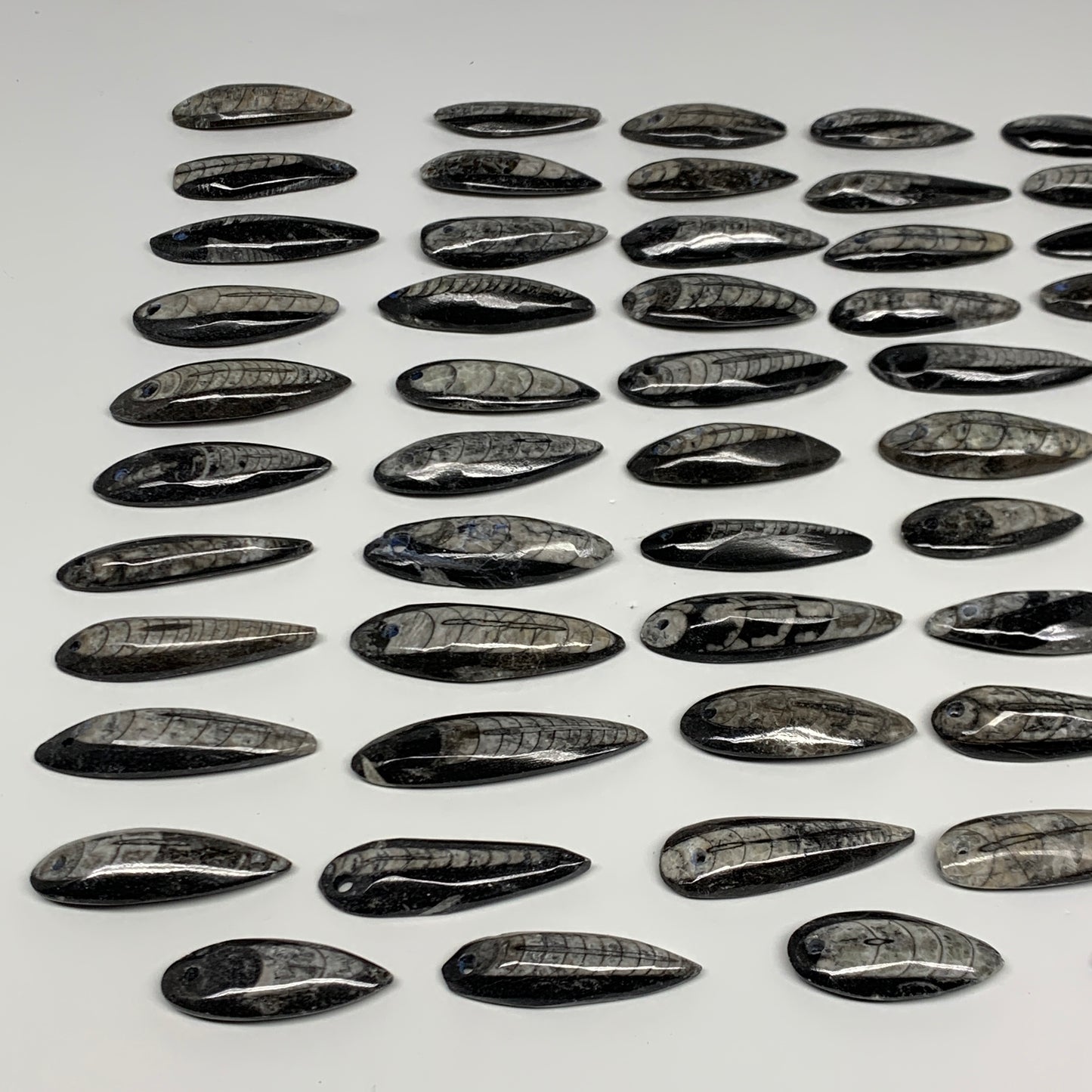 540g (1.19 lbs), 52 pcs, 1.6"-2.5", Small Orthoceras Fossils Drilled Pendants, B