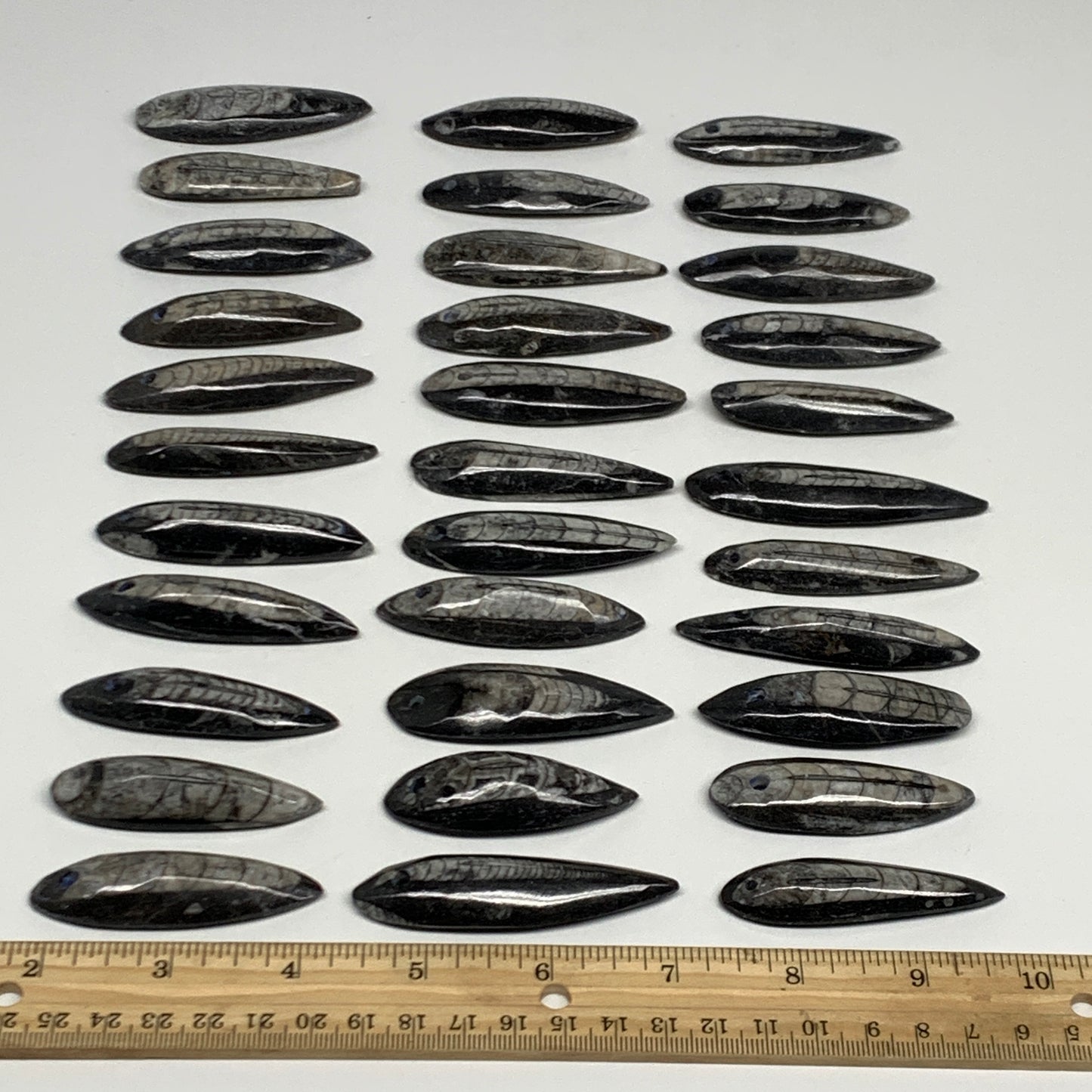 458g (1.1 lbs), 33 pcs, 2.2"-2.9", Orthoceras Fossils Drilled Pendants, B29895