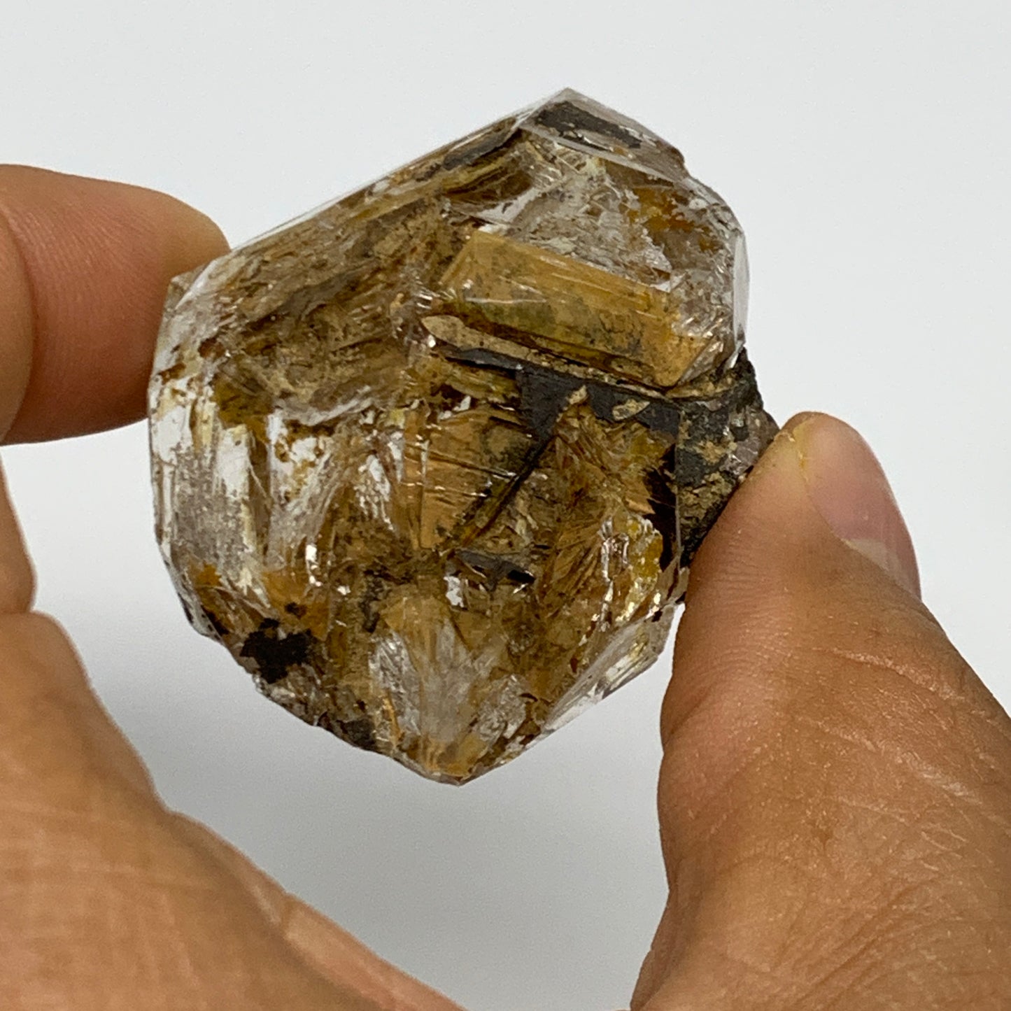 2.2 lb, 1.5"-2.4", 19 pcs, Window Quartz Crystal Terminated @Pakistan, B27747
