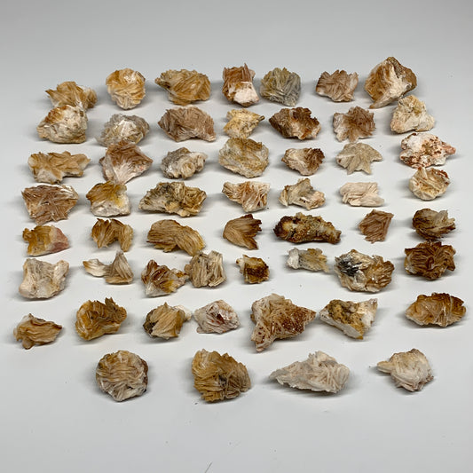 3.4 lbs, 1.1"-1.8, 54pcs Lot, Small Golden Barite Minerals Specimens, B33566