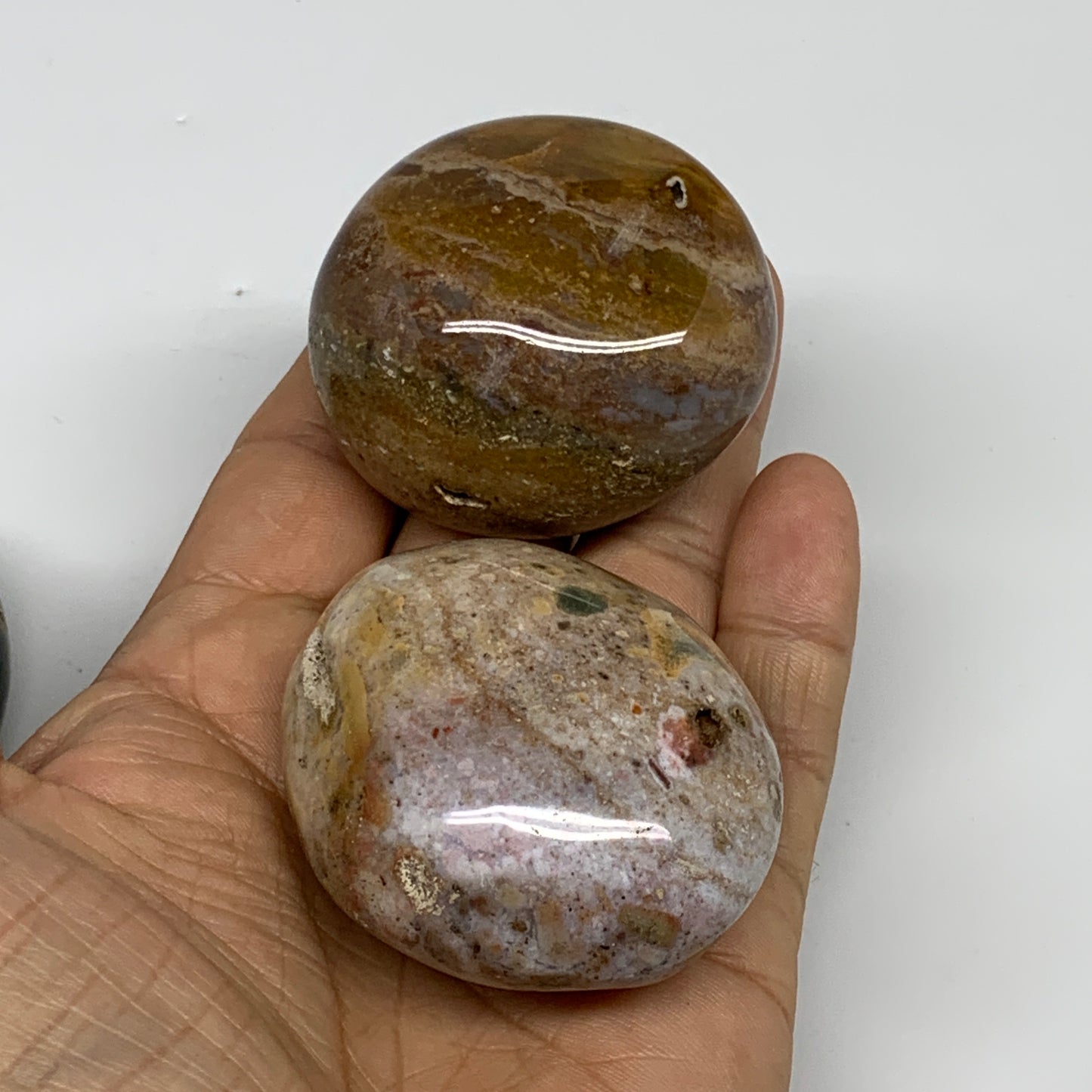 2.2 lbs (1015 Grams), 2"-2.3", 11pcs, Wholesale Ocean Jasper Palm-Stone, B30836