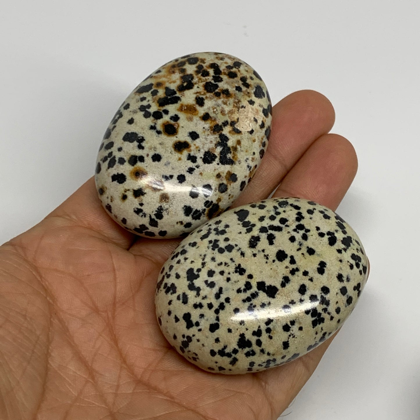 2.2 lbs (1000 Grams),2.1"-2.3", 14pcs, Dalmatian Jasper Crystals Palm-Stone, B29