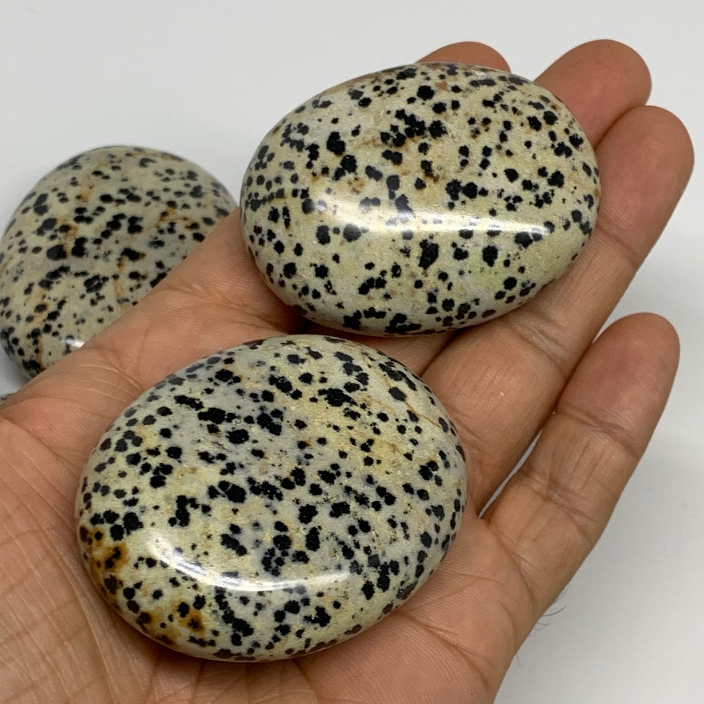 2.2 lbs (1000 Grams),2.1"-2.3", 14pcs, Dalmatian Jasper Crystals Palm-Stone, B29
