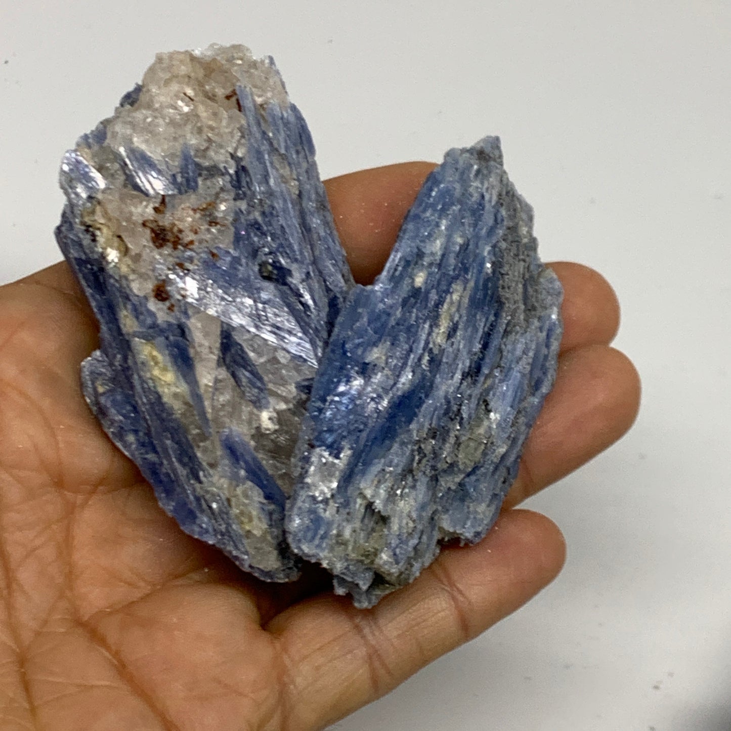 2.2 lbs, 2,2"-3.7", 12pcs, Rough Blue Kyanite Crystal Minerals Specimens,B33115