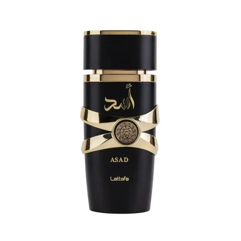 100ML Body Spray Perfume Mens Lasting Fragrance Dating Deodorants Spray Cologne High Quality Gift (3.4oz) Arab Oriental Perfumes